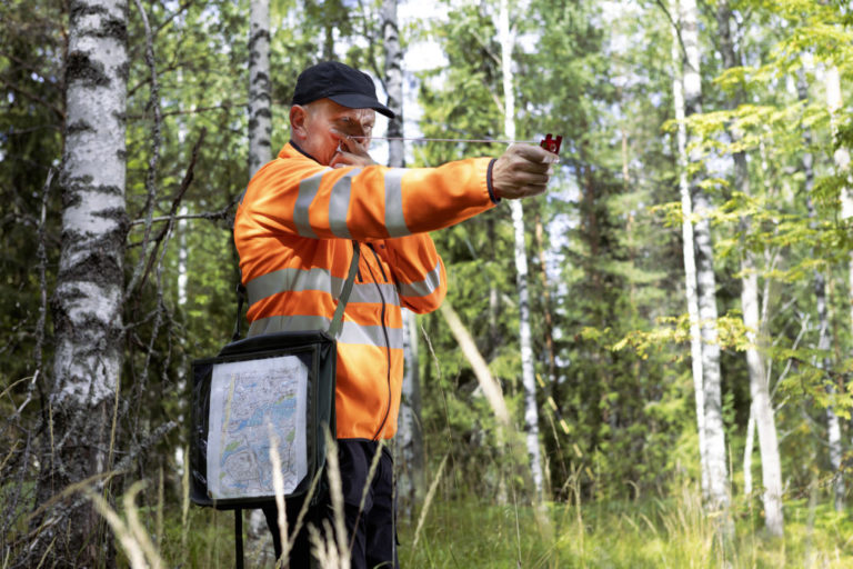 Mielipide: Minne menet metsäenergia?